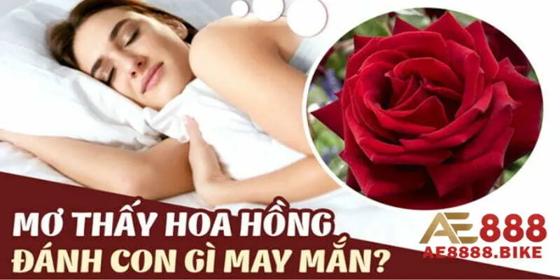 Con số may mắn khi chiêm bao thấy hoa cho các lô thủ