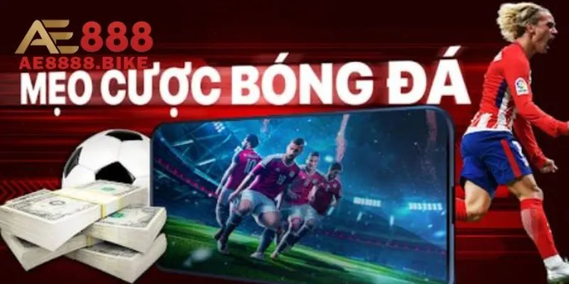 Mẹo và lưu ý quan trọng khi chơi cá cược bóng đá cần biết